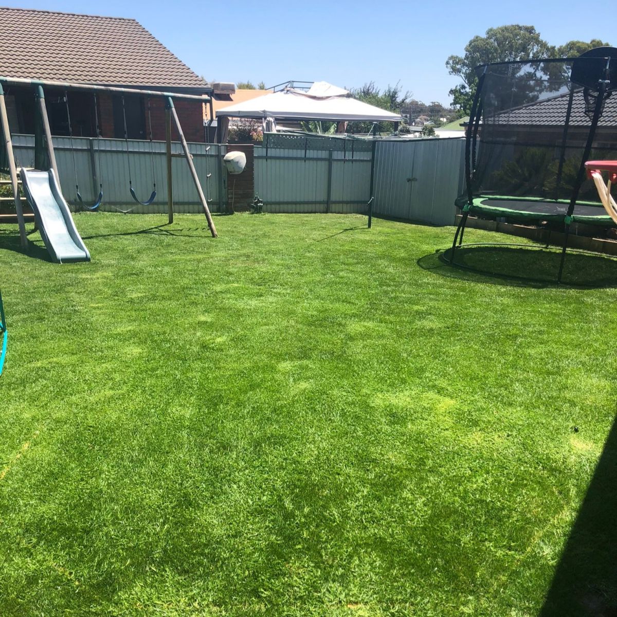 Backyard with green lawn