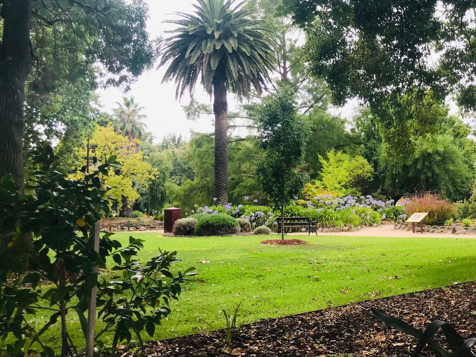 Phillips Botanic Gardens in Maryborough Victoria